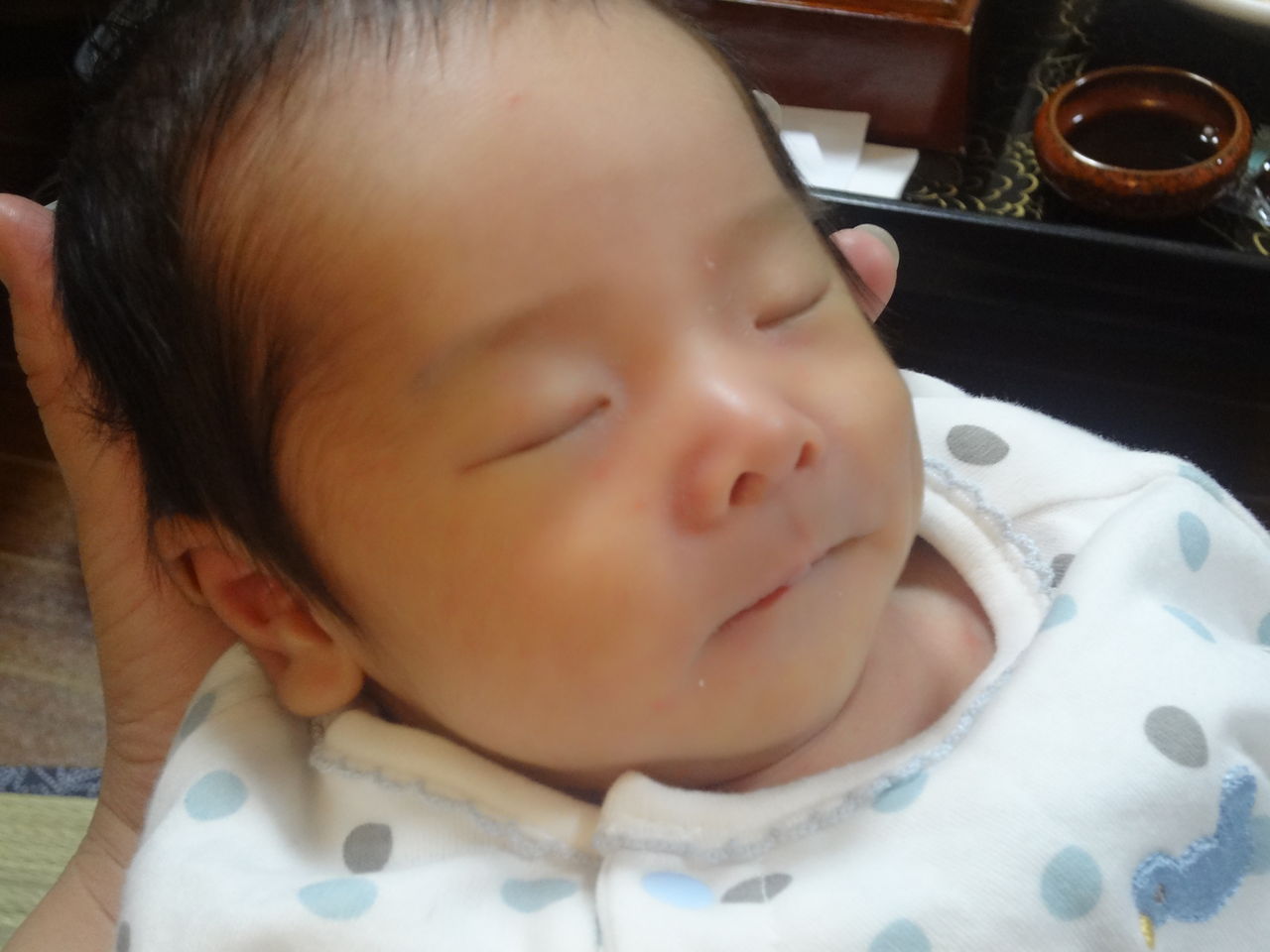 可愛い可愛いハル かごっまおごじょ 西ひろみ のお気楽日記