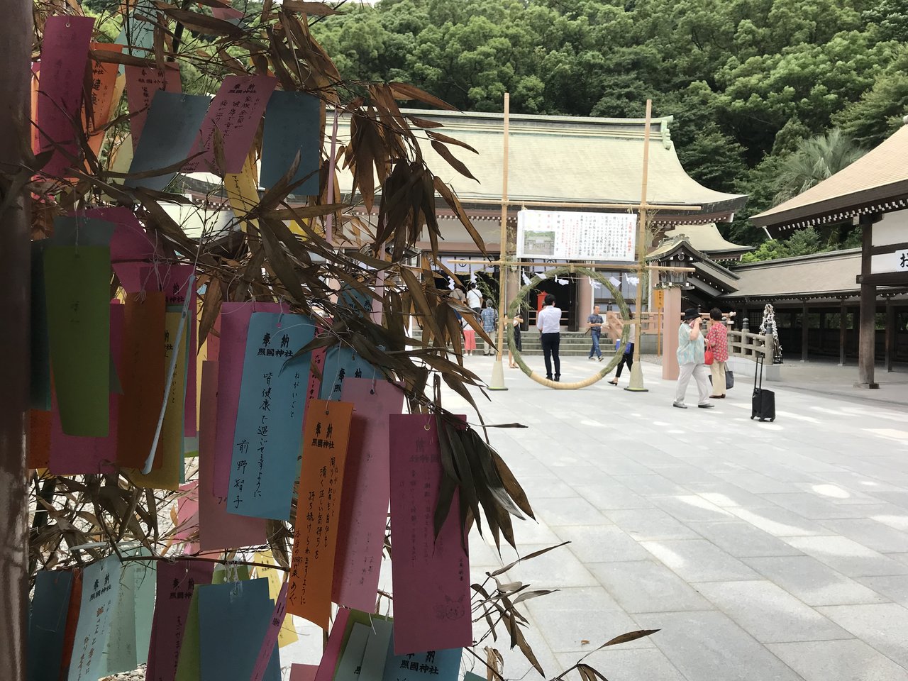 夏の厄払い 茅の輪くぐり かごっまおごじょ 西ひろみ のお気楽日記 夏の厄払い 茅の輪くぐり かごっまおごじょ 西ひろみ のお気楽日記