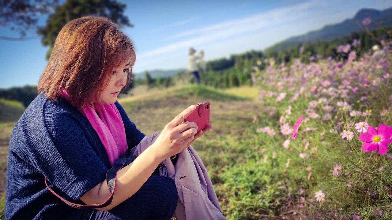 出水上場高原のコスモス かごっまおごじょ 西ひろみ のお気楽日記