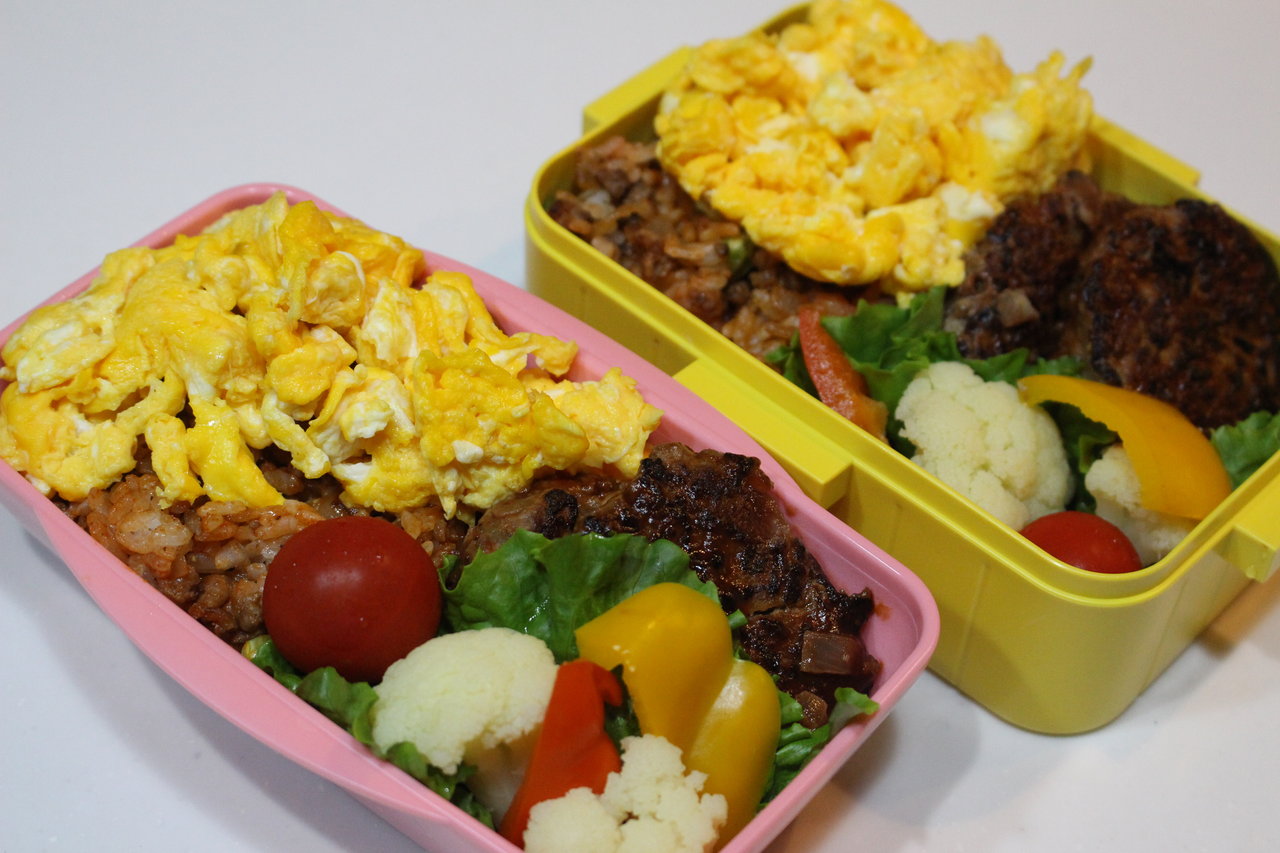 オムライス ハンバーグ 弁当 かごっまおごじょ 西ひろみ のお気楽日記 オムライス ハンバーグ 弁当 かごっまおごじょ 西ひろみ のお気楽日記