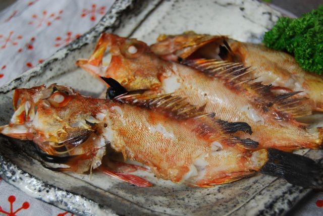 今日の晩ごはん アラカブの塩焼き かごっまおごじょ 西ひろみ のお気楽日記 今日の晩ごはん アラカブの塩焼き かごっまおごじょ 西ひろみ のお気楽日記