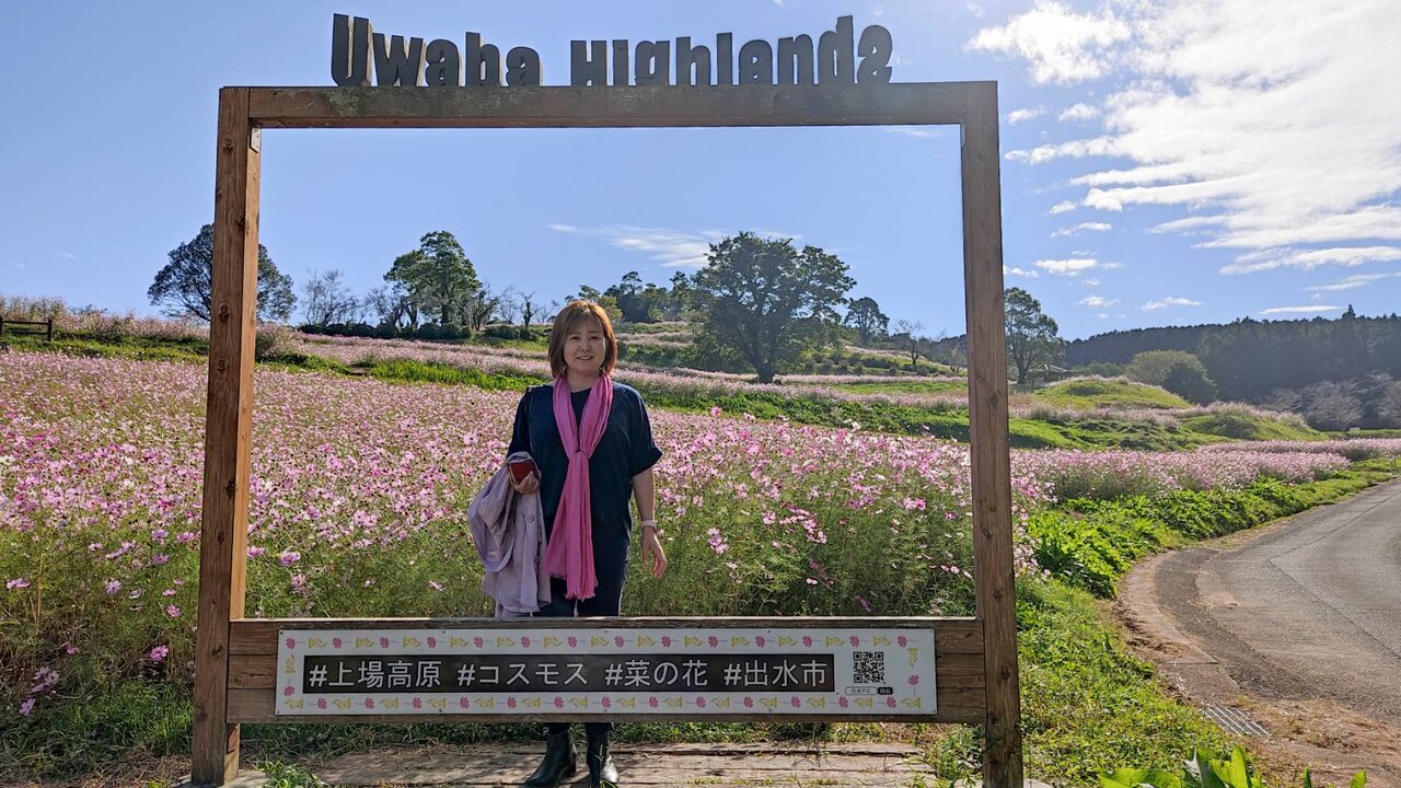 出水上場高原のコスモス かごっまおごじょ 西ひろみ のお気楽日記