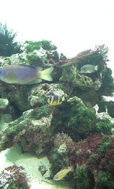 41dd0949.jpg