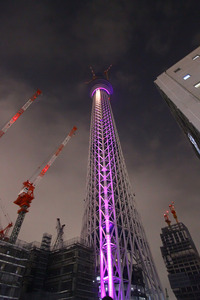 101013narihirabashi-018