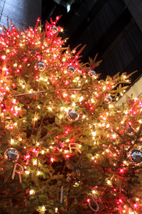 tree