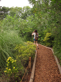 110605ghibli-037