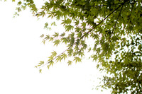 20141008tokyo-027