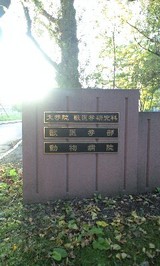 a447d088.jpg