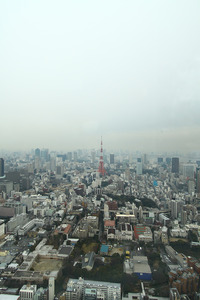 110115akasaka-009