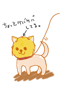 pome