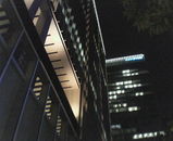 ee54651c.jpg