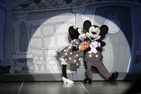 100530tdl-365