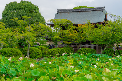 lr blog Tenryuji-00383