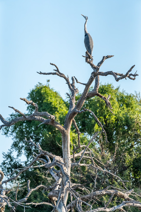 lr blog Kruger -00473
