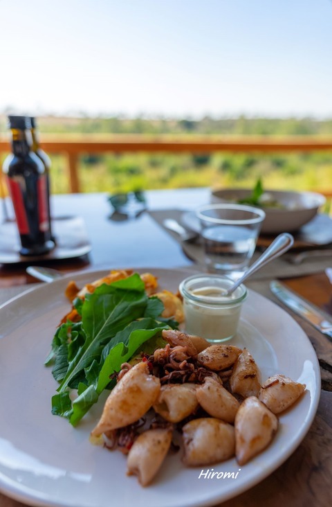 lr blog Londolozi Lunch-04026
