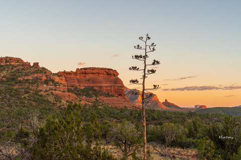 lr blog Sedona Boynton Canyon-08912