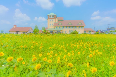 lr blog Aitou-01367