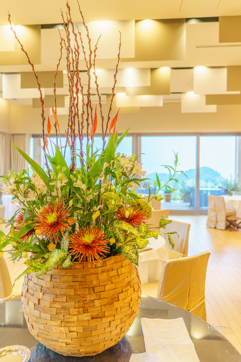 lr blog Sakurai-03220