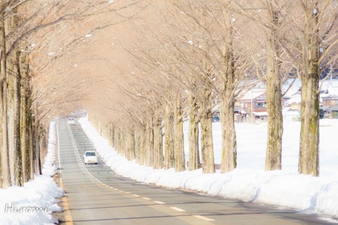 lr blog Makino-01757 2018-02-06