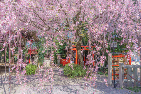 lr blog Suikatenmangu-02971