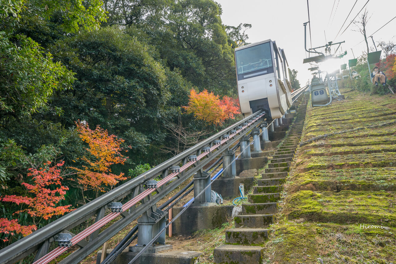 天橋立を楽しむスポット4選 秋は紅葉も綺麗です 大人のための絶景アドベンチャー 天橋立を楽しむスポット4選 秋は紅葉も綺麗です 大人のための絶景アドベンチャー
