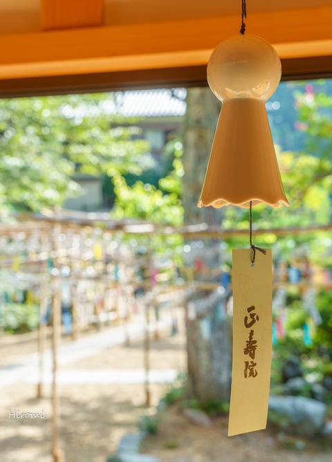 lr blog Shojuin-01059