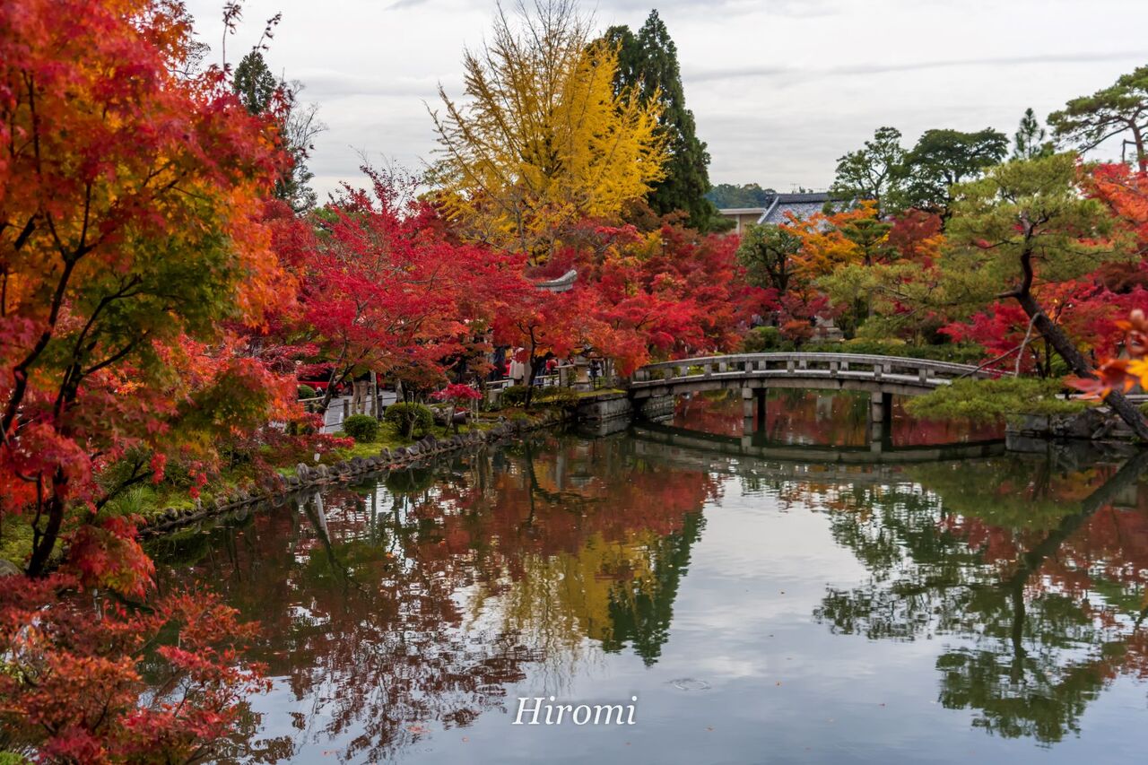 京都の紅葉スポット 東山 哲学の道周辺8選 大人のための絶景アドベンチャー 京都の紅葉スポット 東山 哲学の道周辺8選 大人のための絶景アドベンチャー