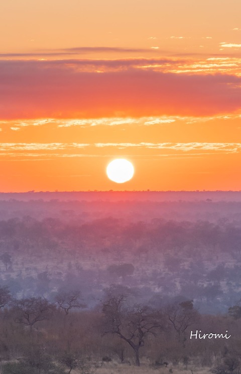 lr blog Londolozi sunrise-01800