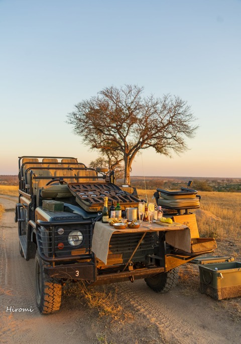 lr blog Londolozi Jeep-03874