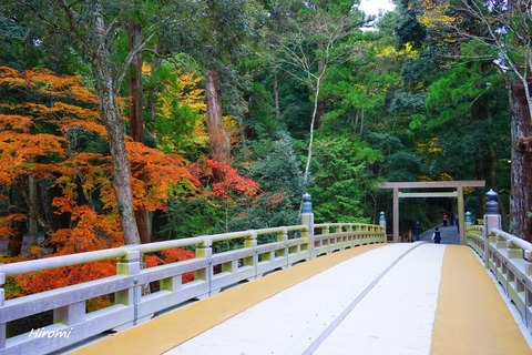2014-11-30 blog Ise Jingu Bridge 1-DSC00024