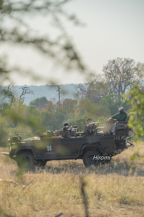 lr blog Kruger -03983