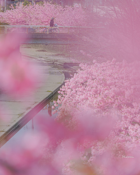 lr blog Yodosuiro-00768