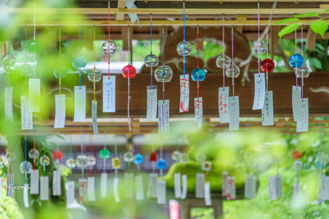 lr blog Matsunootaisha-07998