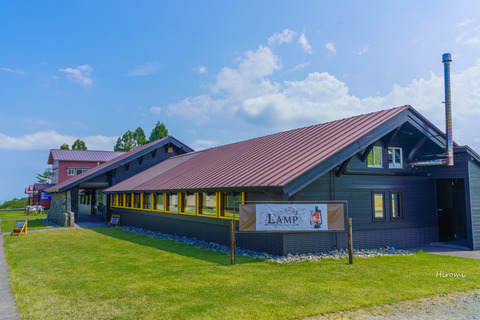 lr blog Lamp 2019-07-17-01116