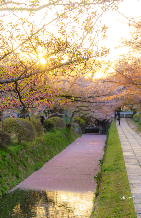 lr blog Tetsugakunomichi-03360