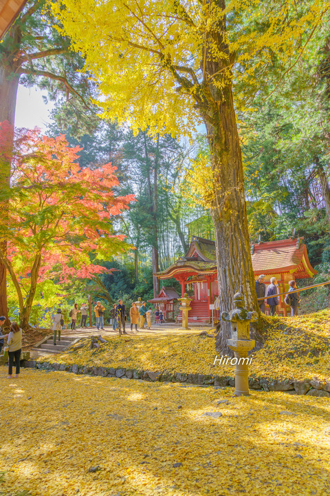 lr blog Tanzanjinja-02836