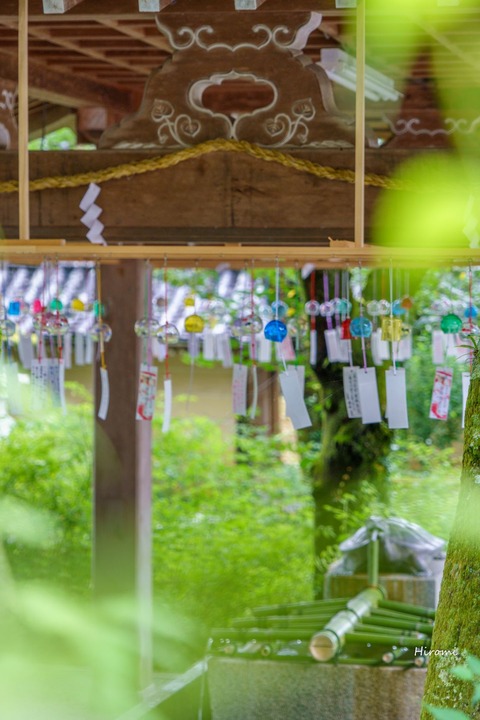 lr blog Matsunootaisha-08059