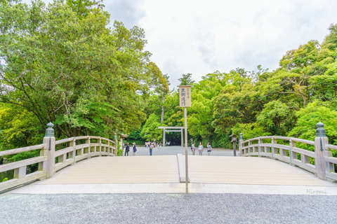 lr blog 2019-05 gekuu hiyokebashi 03929