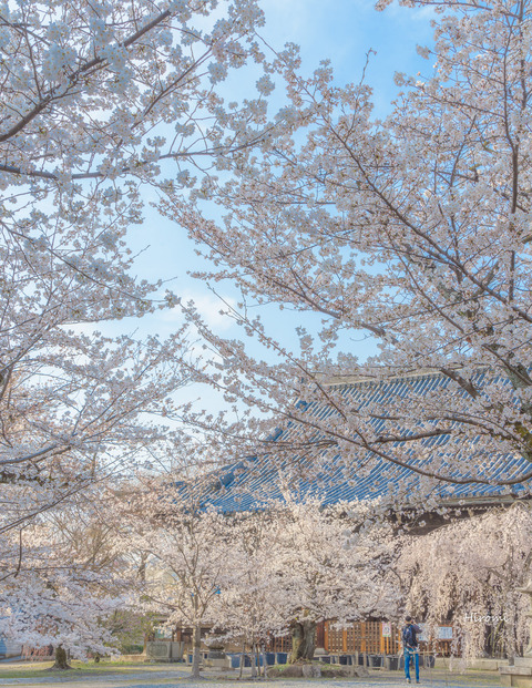 lr blog Ryuhonji-05246