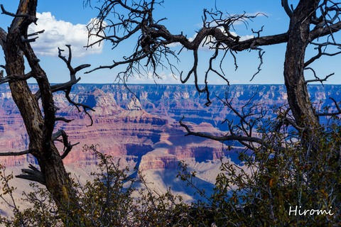 lr blog Grand Canyon-09124