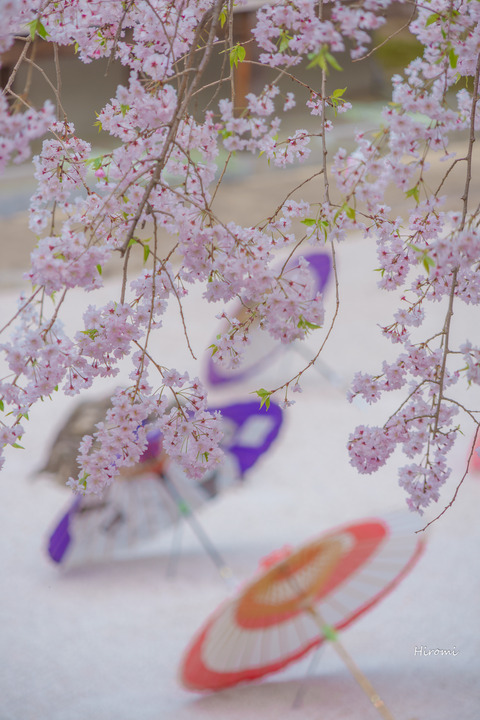lr blog Myokenji-06888