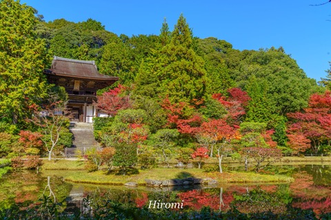lr blog Enjoji-02181