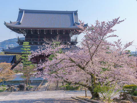 lr blog Konkaikomyoji-05408