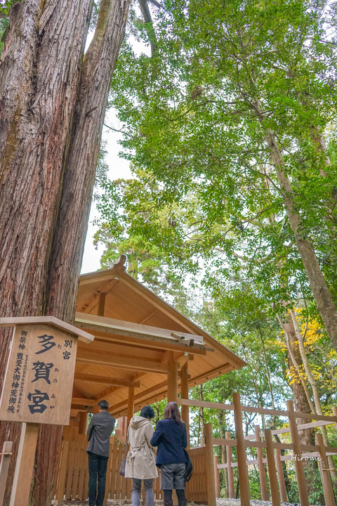 lr 2014-11-30 blog gekuu betsumiya tagamiya-09927