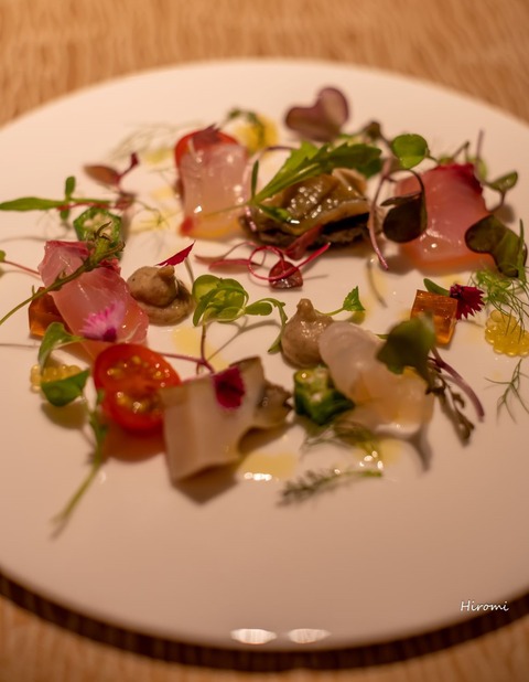 2019-05-31 blog lr Hiramatsu-03755 edit