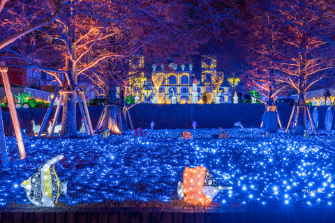 lr blog Kobe Illuminage-06375