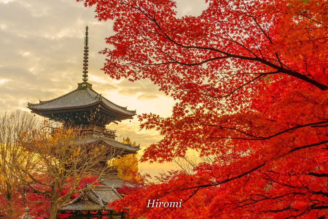 京都の紅葉スポット 東山 哲学の道周辺8選 大人のための絶景アドベンチャー 京都の紅葉スポット 東山 哲学の道周辺8選 大人のための絶景アドベンチャー