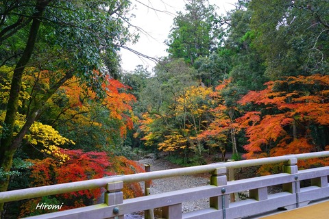 2014-11-30 blog Ise Jingu 2-DSC00017
