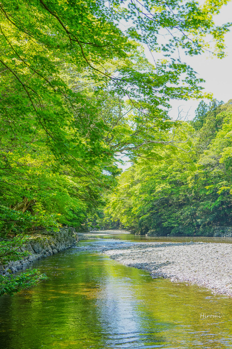 lr 2015-05 blog isuzugawa-05309