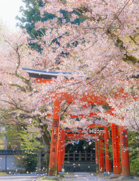 lr blog Takenakainari-05313